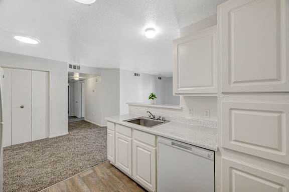 A white kitchen with a sink and a dishwasher.