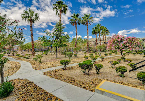 A garden with a pathway and a variety of plants.