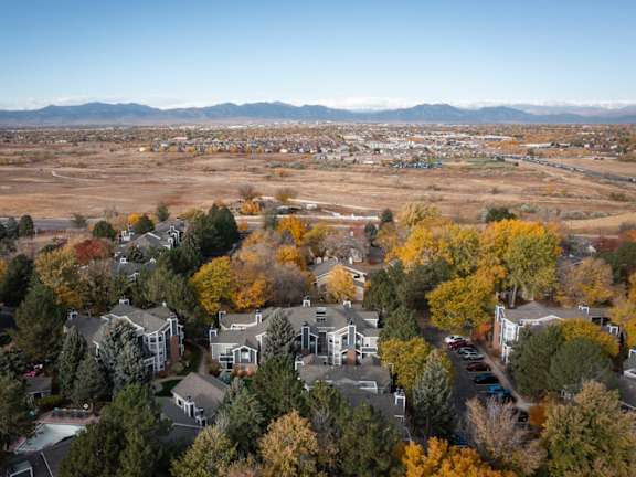 A suburban area with houses and trees in autumn.