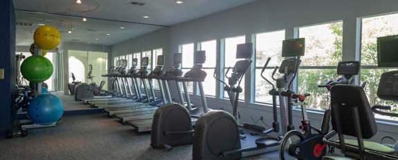 a row of exercise bikes in a room with a lot of windows