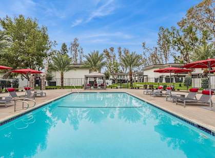 A large swimming pool surrounded by lounge chairs and umbrellas.