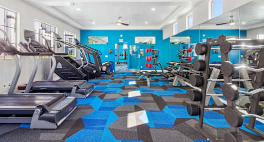 a gym with cardio machines and weights on a carpeted floor