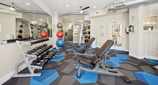 A gym with a variety of equipment including weights and a rowing machine.