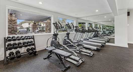 A gym with treadmills, weights, and exercise equipment.