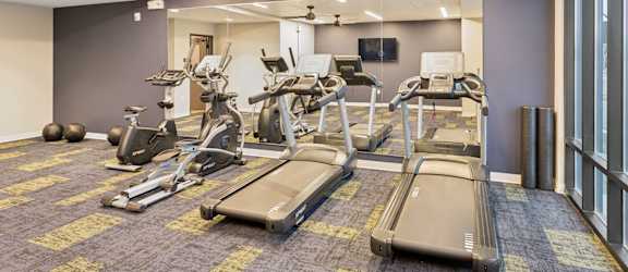 A gym with treadmills, elliptical machines, and exercise balls.