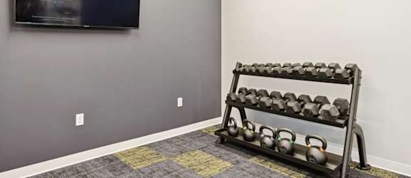 A black kettlebell rack with kettlebells in a room with a television on the wall.