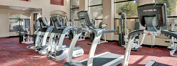 A gym with treadmills and exercise equipment.