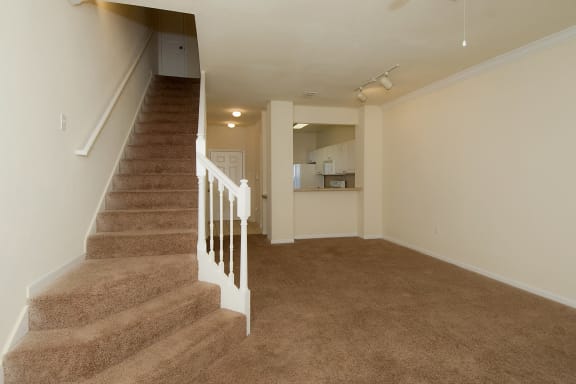 Interior Living Room Stairs Carpet at Magnolia Place, Gainesville, Florida