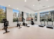 Thumbnail 2 of 25 - Cardio machines at AVIA on Pike Street, Washington, 98101