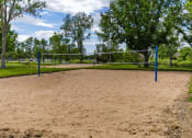 Thumbnail 26 of 26 - Volley Ball
