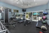 Thumbnail 8 of 12 - Pet-Friendly Apartments in Dana Pointe, CA - Harbor Pointe - Fitness Center with Treadmills, Free Weights, and Windows