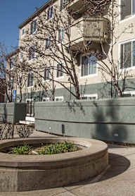 A tree is in front of a building.
