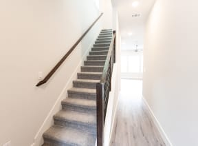 an image of a staircase in a house with carpeted stairs