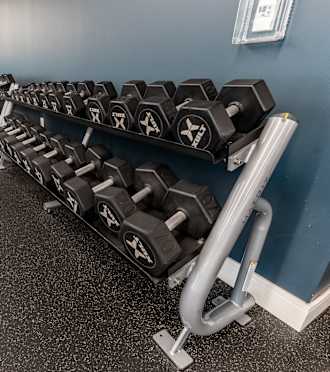 a row of dumbbells in a gym