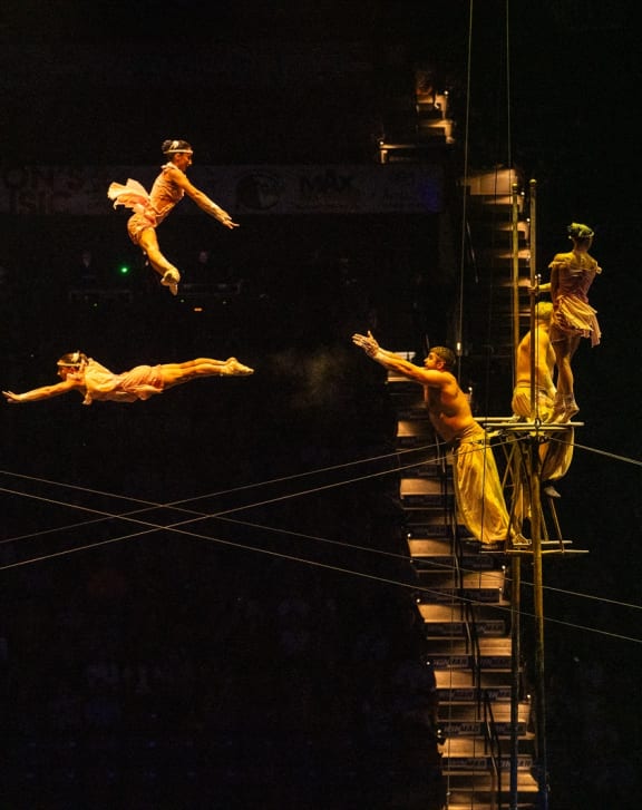 a crowd of people with their hands in the air