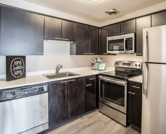 Amazing kitchens with modern appliances at Williams Reserve, Illinois
