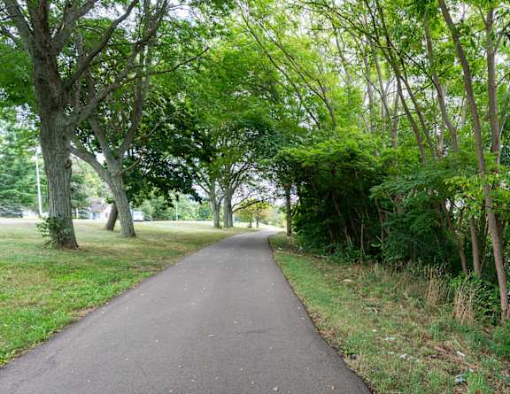 a path through a park with trees and grass