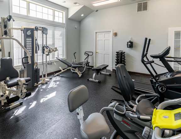 a gym with cardio equipment and weights on the floor and a window