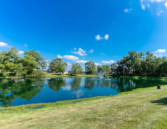 a pond in a park with a blue sky and trees