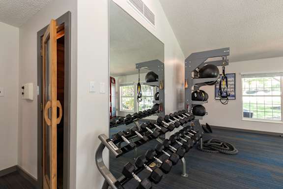 A gym with a mirror, weights, and a rope.