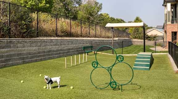 A dog is playing with a ball in a fenced yard.