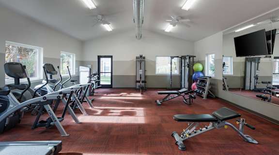 A gym with treadmills, weights, and exercise equipment.
