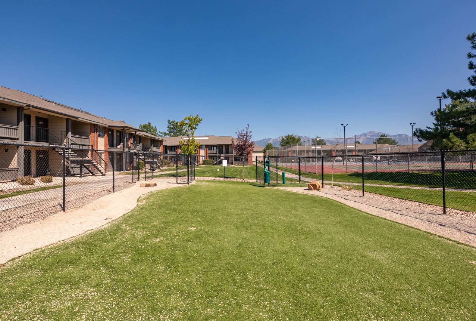 Dog park at Eight20 Apartments (1 of 8)
