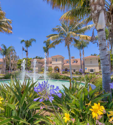 Sophisticated Apartment Living in the Heart of the City at Windsor at Aviara, 6610 Ambrosia Lane, Carlsbad
