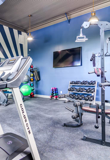 Two Level Fitness Center at Serene at Creekstone Apartments, Athens, GA