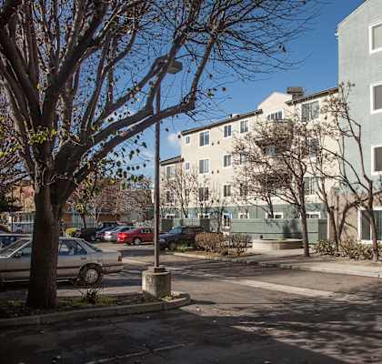 A tree in front of a building with a car parked behind it.