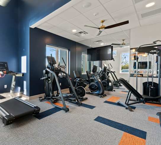 A gym with a variety of equipment including treadmills, weights, and a television.