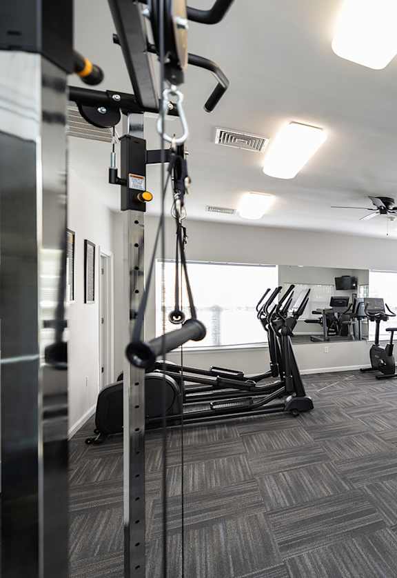 A gym with treadmills, elliptical machines, and other exercise equipment.