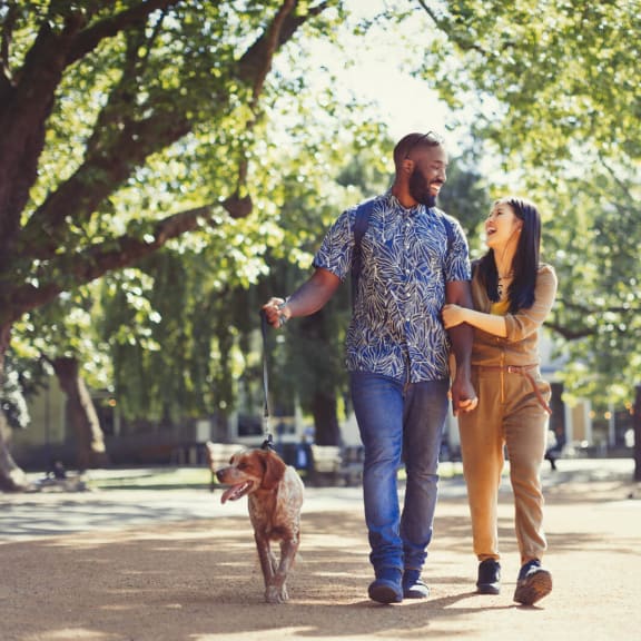 Apartments in Medical District, Dallas Windsor West Lemmon