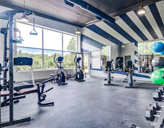 a gym with cardio machines and weights and a large window  at Serene at Creekstone, Georgia, 30601