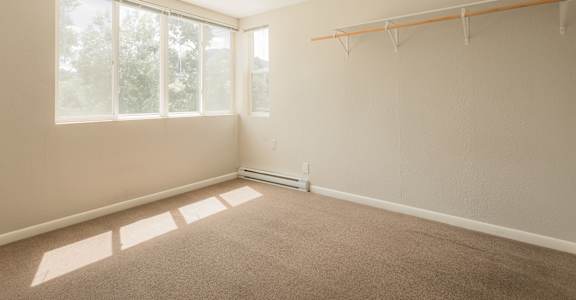 A room with a carpeted floor and a window letting in sunlight.