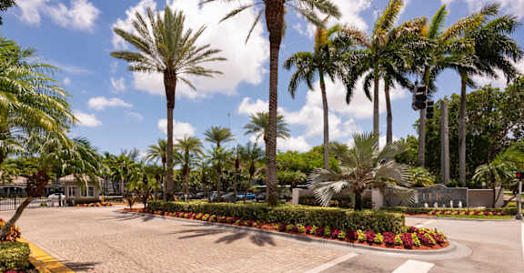A sunny day at the palm tree filled parking lot.