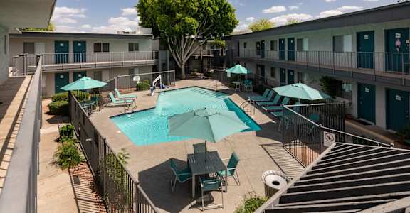 A pool surrounded by chairs and umbrellas with a tree in the background.