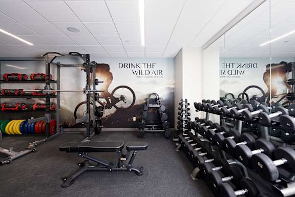A gym with a row of dumbbells on the right and a bench in the middle.
