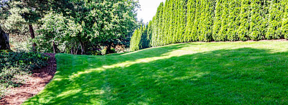 A pathway leads through a grassy area with a row of trees on one side.