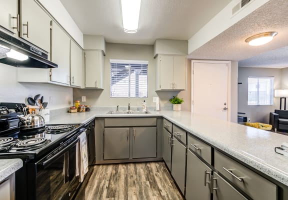 Apartment Home Kitchen