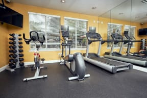 Escondido, CA Apartments for Rent - Alta Vista Fitness Center with exercise bike, treadmills, and ellipticals