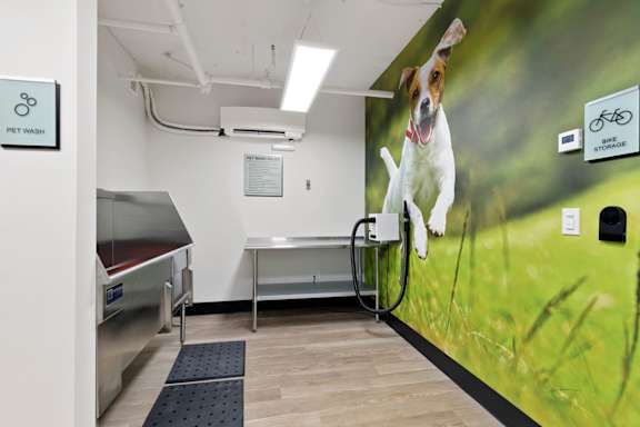 Pet Bath at AVIA on Pike Street, Seattle, WA