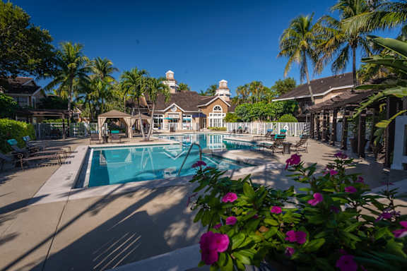 A pool surrounded by palm trees and flowers.
