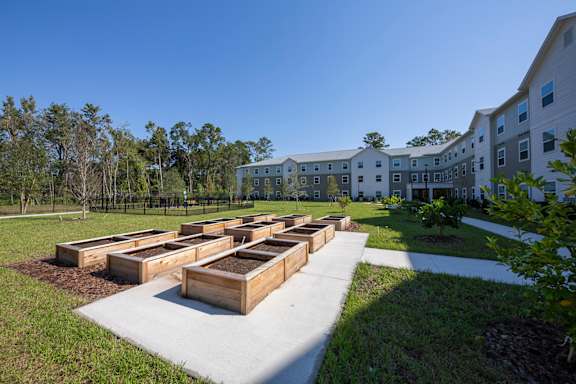 Jacksonville, FL| Melissa Grove | Garden