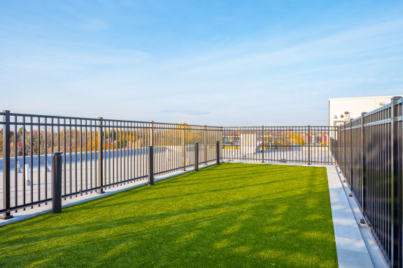 a backyard with a grassy area and a pool in the background