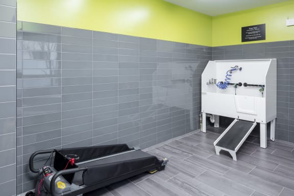 a room with a tiled wall and floor