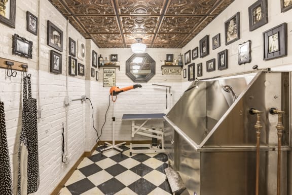 The District Dog Blow Dry Station