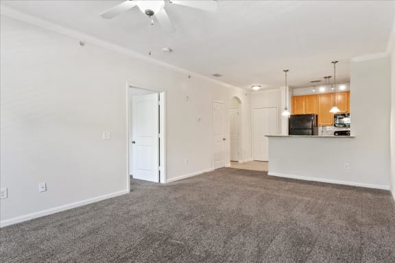 Unfurnished Living Space at Tapestry Park, Chesapeake, Virginia