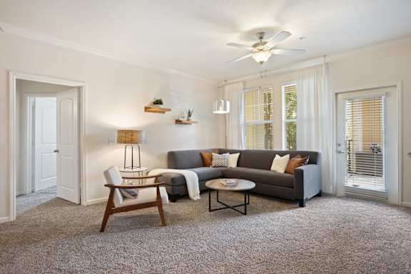 Tapestry Park Apartments Homes in Chesapeake Virginia