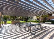 Thumbnail 36 of 56 - picnic area